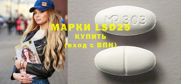 индика Верея