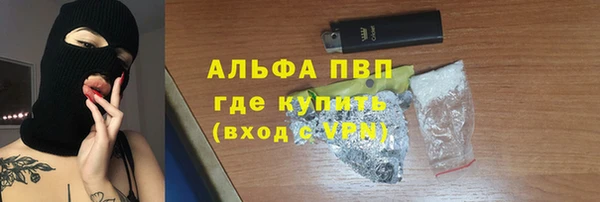 индика Верея