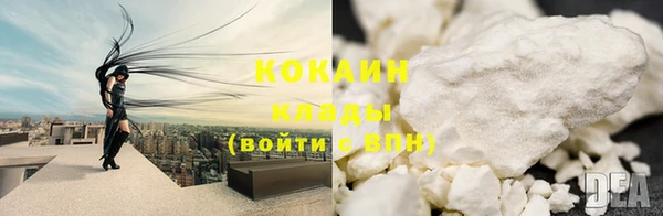 индика Верея