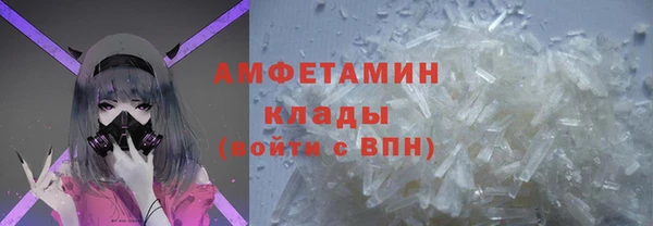 индика Верея