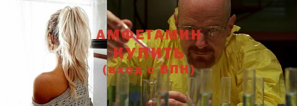 индика Верея