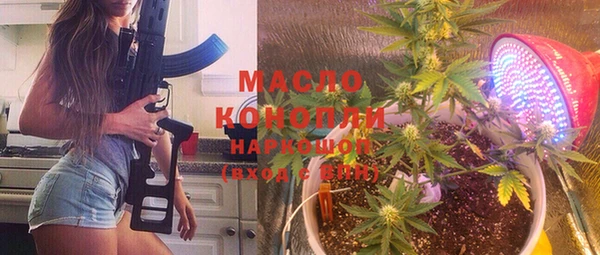 индика Верея