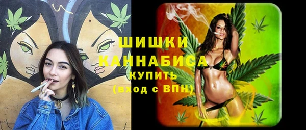 индика Верея