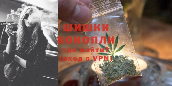 индика Верея
