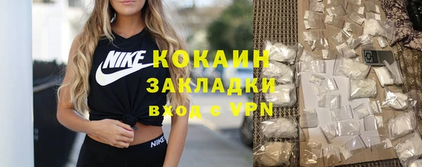 индика Верея