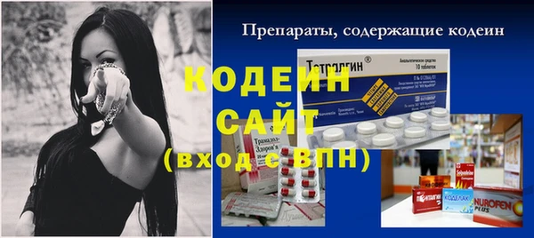 индика Верея
