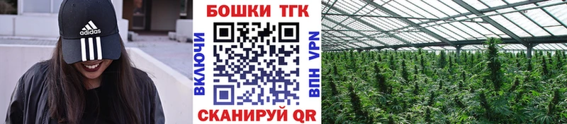 Бошки марихуана тримм Межгорье